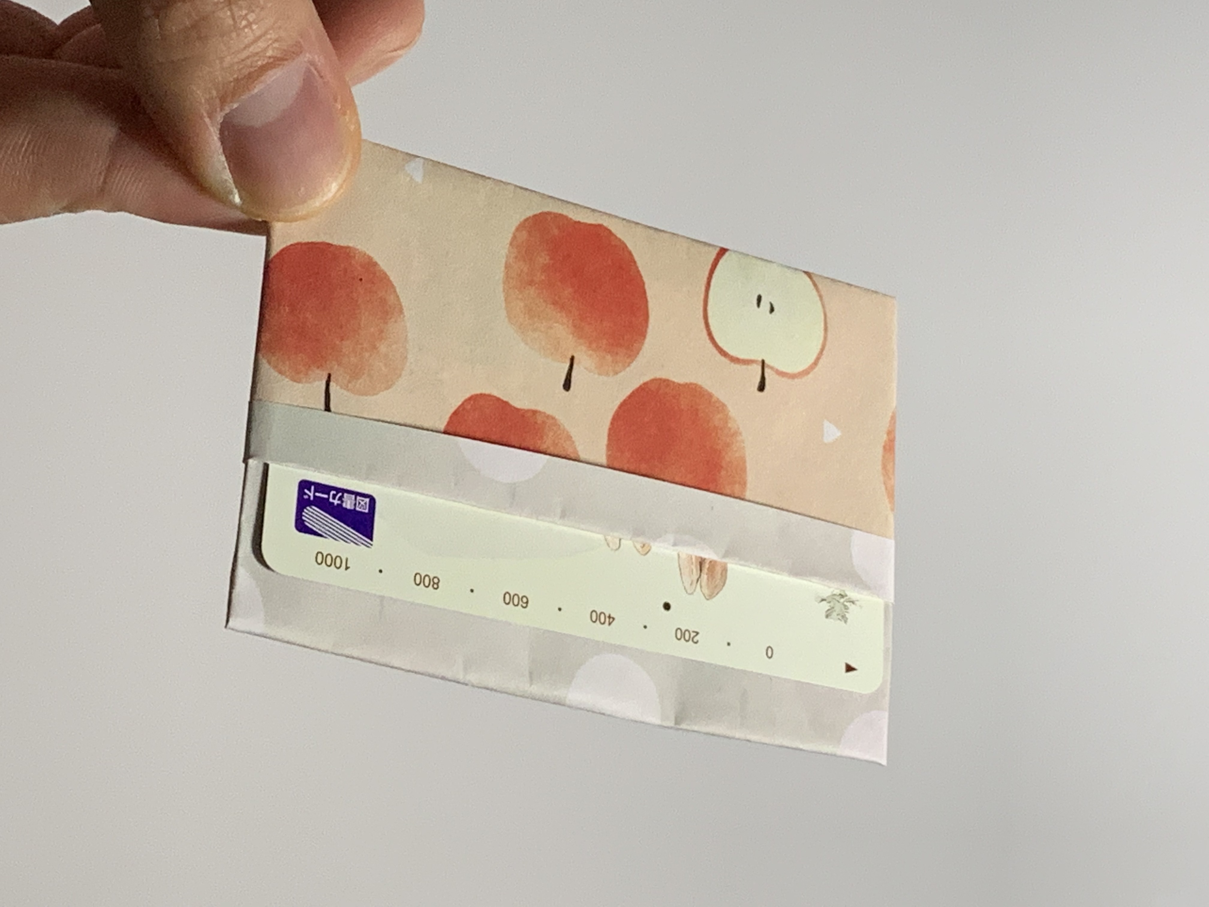 折り紙 カードケースの折り方 Card Case