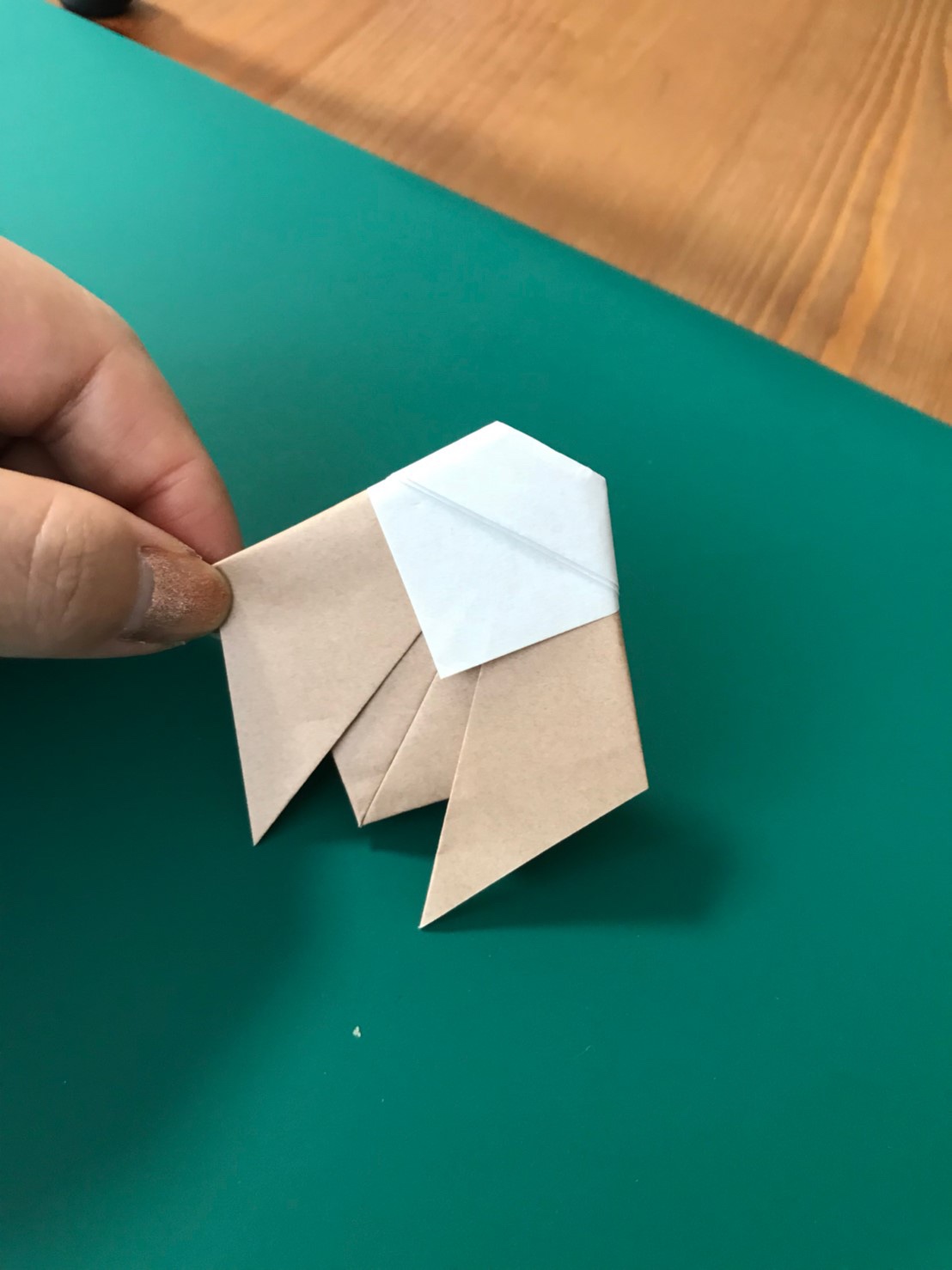 折り紙 背中の白いせみの折り方